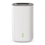 Stream video recorder (SVR)