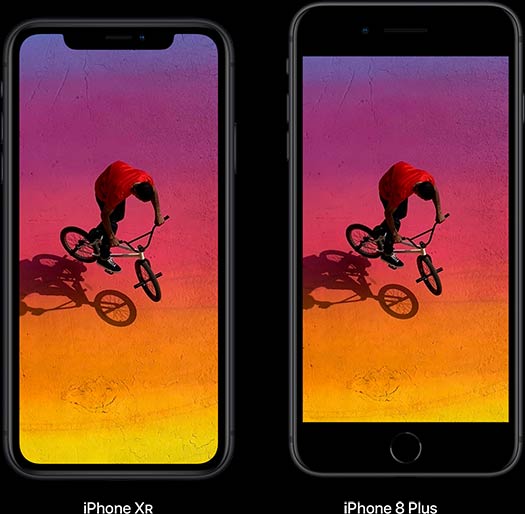 Comparison of iPhone XR and iPhone 8 Plus