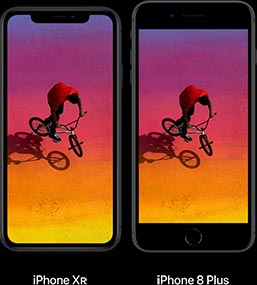 Comparison of iPhone XR and iPhone 8 Plus
