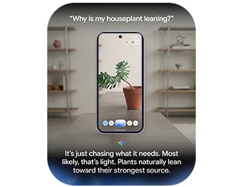 Share your camera in Gemini Live for a natural, back-and-forth chat about what’s in front of you.