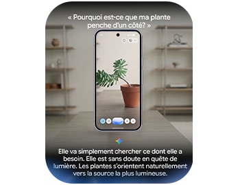 Partagez votre appareil photo dans Gemini Live pour discuter naturellement et échanger sur ce qui vous entoure