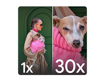 Rapprochez-vous comme jamais grâce au Super Zoom 30x.