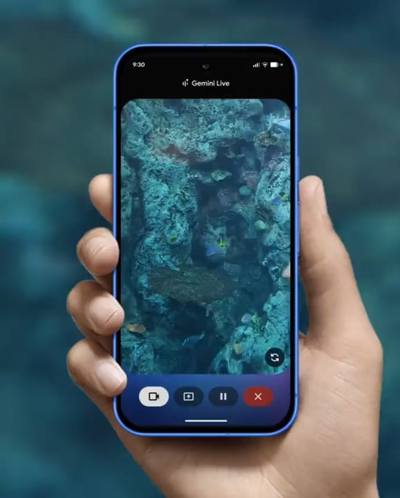 You show, Gemini tells.