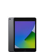 iPad mini (5e génération)