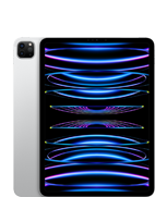 iPad Pro 11 po (4e génération)