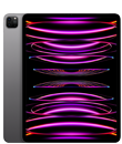 iPad Pro 12,9 po(6e génération)