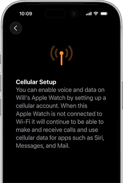 Cellular setup screen