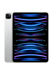 iPad Pro 11 po (4ᵉ génération)