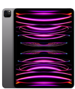 iPad Pro 12,9 po (6ᵉ génération)
