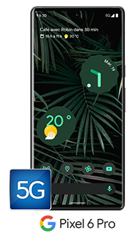 Google Pixel 6 Pro