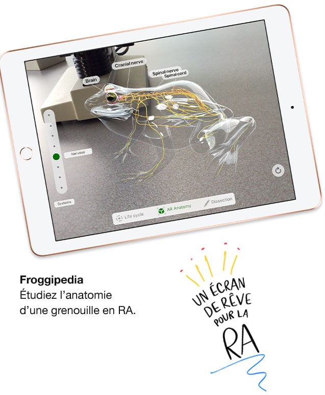 Froggipedia. Étudiez l’anatomie d’une grenouille en RA. Un écran de rêve pour la RA.