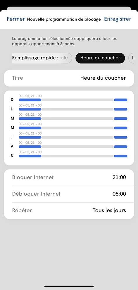 Un téléphone mobile affiche le panneau de contrôle de l’accès Internet. Une description longue suit.