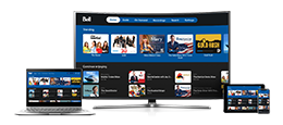 bell internet plans for business