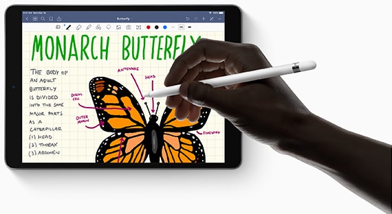 Using the Apple Pencil in iPad Air 3.