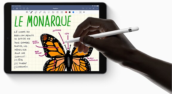 Using the Apple Pencil in iPad Air 3.