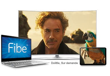 Dolittle, Sur demande